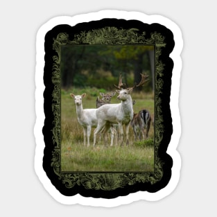 Pure Wildlife Lovers: White Fallow Deer Kingdom Sticker